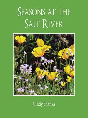 cover image of Seasons at the Salt River